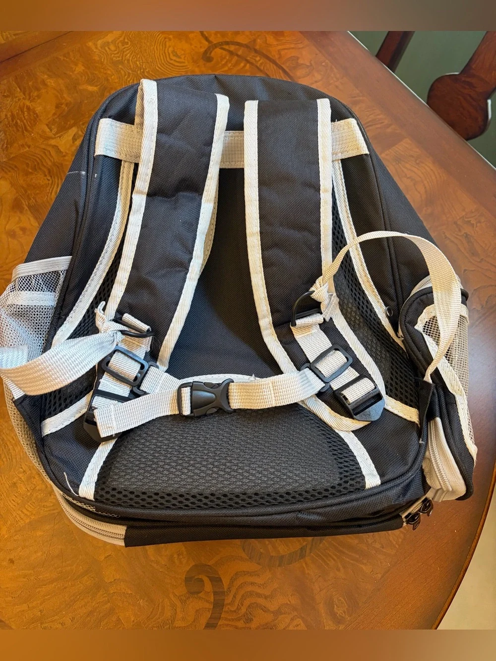 Clear Bubble Pet Carrier Backpack - Black Trim